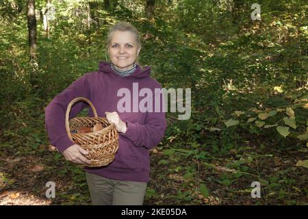 Bulbosus Boletus edulis. Champignons de collection. Champignons blancs dans une main de womans Banque D'Images