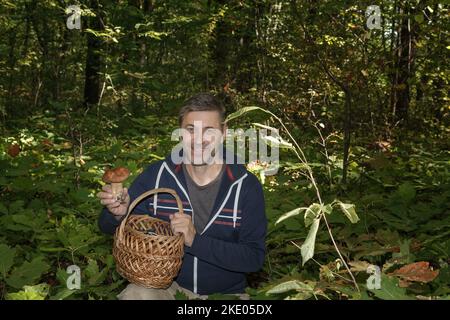 Bulbosus Boletus edulis. Champignons de collection. Boletus edulis dans un panier de champignons dans les mains des hommes Banque D'Images