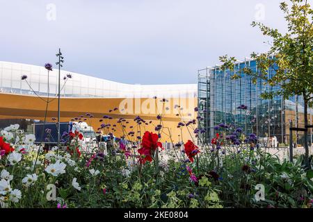 Helsinki, Finlande - 22 août 2022 : Bibliothèque centrale d'Helsinki Oodi avec toit circulaire en bois et fenêtres en verre. Lieu de rencontre avec gamme de services dans un design moderne à la place Kansalaistori. Banque D'Images