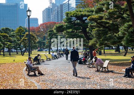 Tokyo, Japon. 9th novembre 2022. The Palace Hotel Tokyo (ãƒ‘ãƒ”‚¹ãƒ”æ±äº).scènes automnales de Tokyoïtes profitant de la météo automnale dans les jardins du Palais de l'Impériale est (çš‡±…å‰åºƒå `), les feuilles d'arbres se transforment en couleurs dans le jardin national de Kokyo Gaien (çš‡å…ãƒ†ãƒ-è›).Chiyoda City (¤              ), avec le centre du gouvernement national et le åƒä  åŒº                     Le Japon a récemment rouvert ses portes au tourisme après plus de deux ans d'interdiction de voyager en raison de la pandémie COVID-19. Crédit : ZUMA Press, Inc./Alay Live News Banque D'Images