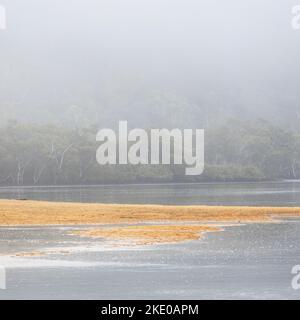 Brouillard et brume sur la crique de Pattiga près de la rivière Hawkesbury et de Pattiga sur la côte centrale de Nouvelle-Galles du Sud en Australie Banque D'Images