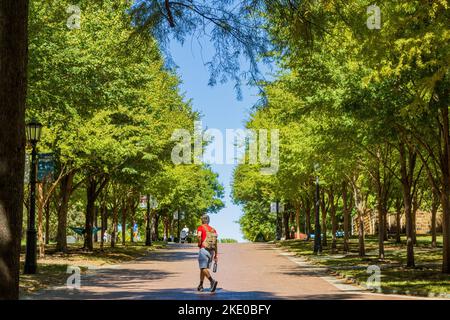 Arkansas, OCT 2 2022 - vue extérieure ensoleillée du campus de l'université d'Arkansas Banque D'Images