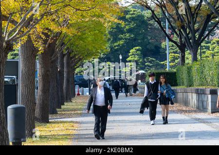 Tokyo, Japon. 9th novembre 2022. Scènes d'automne de Tokyoïtes appréciant le temps d'automne dans les jardins du Palais impérial est alors que les feuilles d'arbre deviennent des couleurs au jardin national de Kokyo Gaien.Chiyoda City est le centre du gouvernement japonais, avec le Palais impérial et la Diète nationale. Le Japon a récemment rouvert ses portes au tourisme après plus de deux ans d'interdiction de voyager en raison de la pandémie COVID-19. Crédit : ZUMA Press, Inc./Alay Live News Banque D'Images