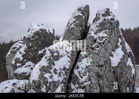 Rochers calcaires à côté du château d'Ogrodzieniec dans le village de Podzamcze, dans la région du Jura polonais Banque D'Images