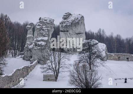 Rochers calcaires à côté du château d'Ogrodzieniec dans le village de Podzamcze, dans la région du Jura polonais Banque D'Images