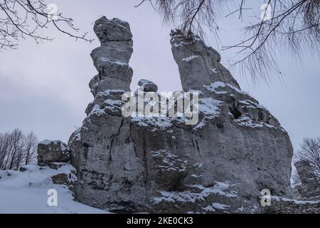 Rochers calcaires à côté du château d'Ogrodzieniec dans le village de Podzamcze, dans la région du Jura polonais Banque D'Images