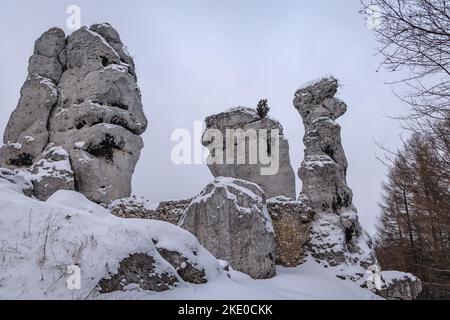 Rochers calcaires à côté du château d'Ogrodzieniec dans le village de Podzamcze, dans la région du Jura polonais Banque D'Images