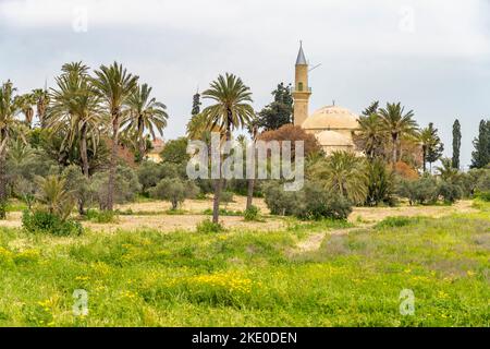 Die Moschee Hala Sultan Tekke, Larnaka, Zypern, Europa | Hala Sultan Tekke ou la mosquée d'Umm Haram, Larnaca, Chypre, Europe Banque D'Images