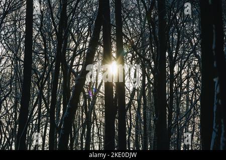 Hiver dans le Groove dans le village de Rogow dans Lodzkie Voivodeship de Pologne Banque D'Images