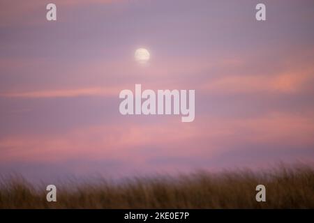 Pleine lune au coucher du soleil à Amagansett, NY Banque D'Images