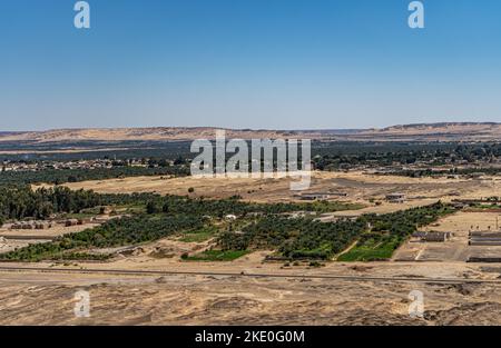 La vue d'un quartier résidentiel dans le désert avec végétation verte. Banque D'Images