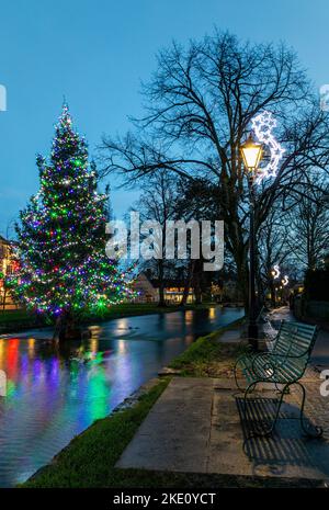 Un arbre de Noël aux lumières entourées d'arbres sans feuilles à Bourton-on-the-Water dans les Cotswolds, en Angleterre Banque D'Images