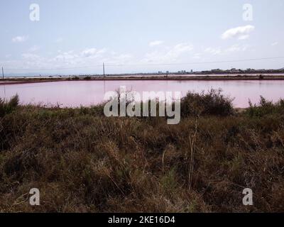 Réserve régionale de las Salinas y Arenales de San Pedro del Pinatar (région de Murcie, Royaume d'Espagne) Banque D'Images