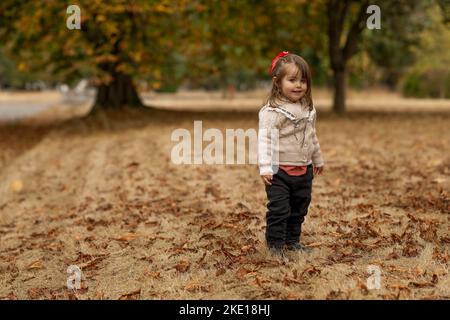 Gros plan moody photo d'une adorable petite fille de 3 ans se concentrant sur la collecte de conkers et de jouer avec eux sous un cheval châtaignier arbre dans t Banque D'Images