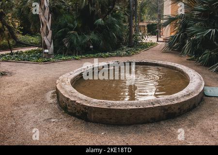 fontaine circulaire avec bords en béton dans un parc au milieu d'un chemin piétonnier près des plantes vertes et des palmiers. Banque D'Images