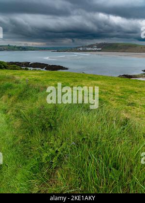 Vue sur la baie de Clonakilty par jour nuageux. Herbe épaisse, littoral. Paysage de bord de mer. Temps nuageux. Banque D'Images