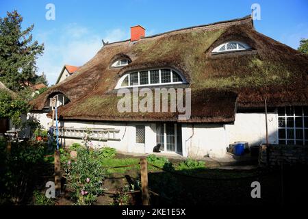 Arrière de la Bue Barn, Vitte, île de Hiddensee, Mer Baltique côte mecklembourgeoise, Mecklenburg-Ouest Pomerania, Allemagne Banque D'Images