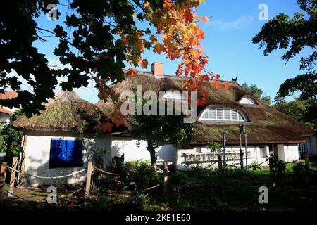 Arrière de la Bue Barn, Vitte, île de Hiddensee, Mer Baltique côte mecklembourgeoise, Mecklenburg-Ouest Pomerania, Allemagne Banque D'Images