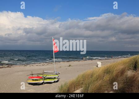 Plage à Vinte, île de Hiddensee, Mer Baltique côte mecklembourgeoise, Mecklenburg-Ouest Pomerania, Allemagne Banque D'Images