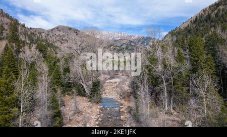 Une vue aérienne des arbres à feuilles persistantes sur les montagnes rocheuses à la fin de l'automne et le canyon de la Plata au Colorado Banque D'Images