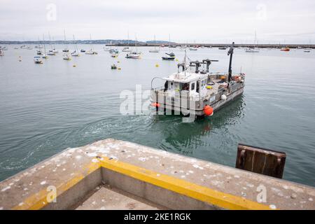 Bateaux de pêche dans le port de Brixham Fish Market, Brixham, South Devon. Banque D'Images
