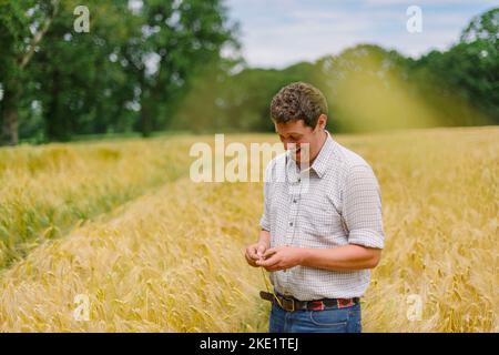 Photo de Jim Wileman - Directeur agricole Tom Chanter, photographié à Woodbury Salterton, Devon, Royaume-Uni. Banque D'Images