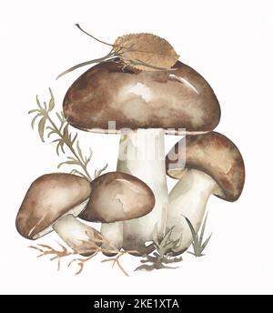 Illustration des champignons de la lubrificateur d'aquarelle et de la composition réelle des feuilles, des champignons et de l'herbe d'automne. Falaise de champignons de forêt aquarelle dessinée à la main Banque D'Images