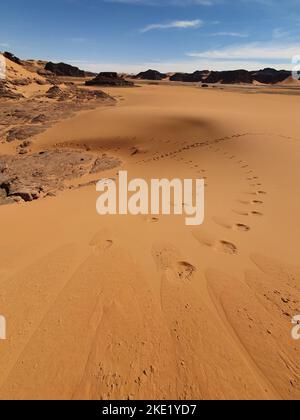 Empreintes parallèles dans une crête de virage d'une dune de sable de couleur orange et rouge. Vue à angle droit avec pierres en dessous. Personne. Banque D'Images