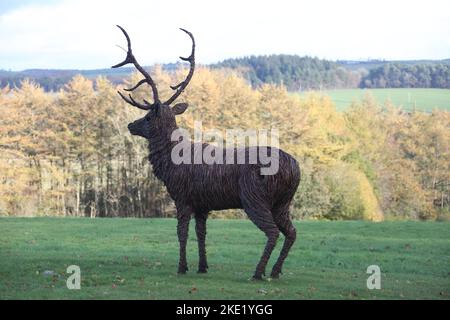 Whiteleys Retreat, Nr Alloway & Maybole South Ayshire, Écosse, Royaume-Uni. Un géant lifesize saule l'éraflure d'un cerf dans le domaine par l'artiste David Powell Banque D'Images