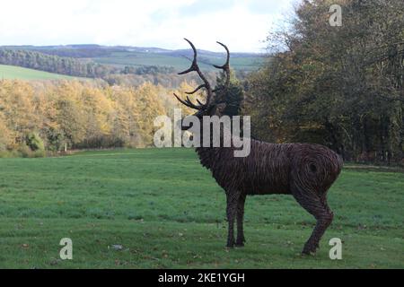 Whiteleys Retreat, Nr Alloway & Maybole South Ayshire, Écosse, Royaume-Uni. Un géant lifesize saule l'éraflure d'un cerf dans le domaine par l'artiste David Powell Banque D'Images