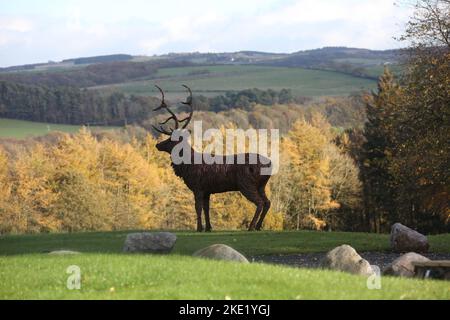 Whiteleys Retreat, Nr Alloway & Maybole South Ayshire, Écosse, Royaume-Uni. Un géant lifesize saule l'éraflure d'un cerf dans le domaine par l'artiste David Powell Banque D'Images