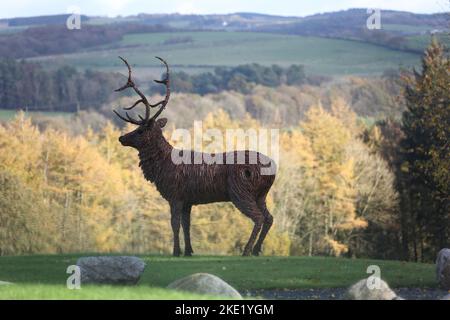 Whiteleys Retreat, Nr Alloway & Maybole South Ayshire, Écosse, Royaume-Uni. Un géant lifesize saule l'éraflure d'un cerf dans le domaine par l'artiste David Powell Banque D'Images