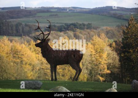 Whiteleys Retreat, Nr Alloway & Maybole South Ayshire, Écosse, Royaume-Uni. Un géant lifesize saule l'éraflure d'un cerf dans le domaine par l'artiste David Powell Banque D'Images