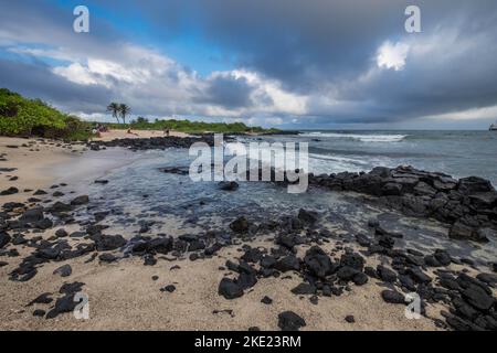 Une plage rocheuse sous un ciel nuageux près du centre scientifique Charles Darwin à Puerto Ayora dans les îles Galapagos, en Équateur. Quelques flaques entre les rochers c Banque D'Images