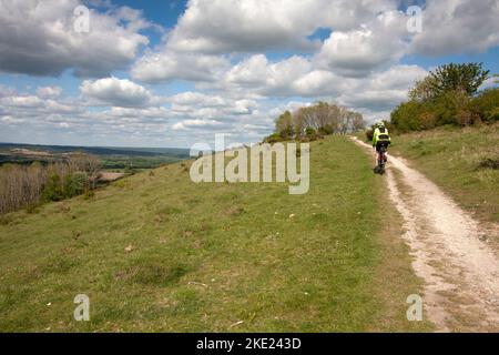 Cycliste sur Harting Down, South Downs, West Sussex, Angleterre Banque D'Images