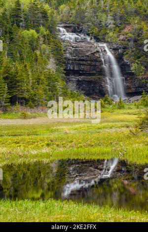 Hidden Falls, Sheaves Cove, Terre-Neuve-et-Labrador, T.-N.-L., Canada Banque D'Images