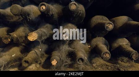 Vieilles bouteilles de vin couvertes de toiles d'araignée dans une cave à vin Banque D'Images