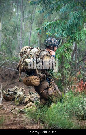 Des soldats américains affectés à la Compagnie Alpha, 1st Bataillon, 27th Infantry Regiment, 2nd Brigade combat Team, 25th Infantry Division, forment des tactiques de manœuvre pendant l'entraînement du joint Pacific multinational Readiness Centre (JPMRC) sur l'île d'Oahu, HI, 5 novembre 2022. Les rotations d'entraînement du JPMRC 23-01 nous permettent de répéter le mouvement et la manœuvre stratégiques, de s'intégrer aux alliés et aux partenaires et de démontrer les contributions uniques de la Division d'infanterie 25th à la Force interarmées. (É.-U. Photo de l'armée par le sergent d'état-major. Miguel Peña) Banque D'Images
