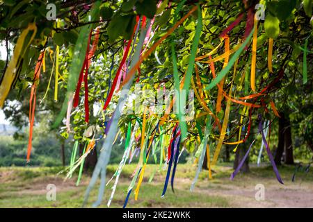 Rubans de voeu colorés attachés sur les branches d'un arbre de près Banque D'Images