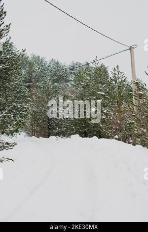 Arbres enneigés, belle montagne bosniaque Prenj, Rujista. Hiver en Bosnie. Atmosphère idyllique. Banque D'Images