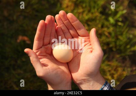 Flou artistique mains humaines tenir un œuf de poulet. Vue de dessus mains mâles tenant un œuf brun. Pâques. Hors foyer Banque D'Images