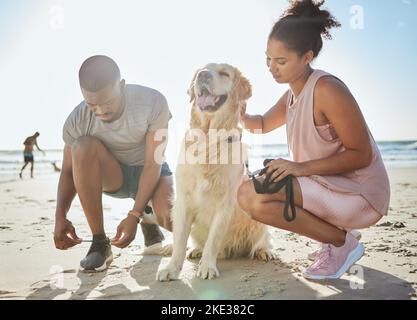 Fitness, couple et chien à la plage, exercice et course sur le sable, l'océan et l'été séance d'entraînement, sports et santé au soleil. Homme fort, femme et coureur Banque D'Images