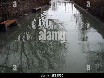 Rue vide trempée dans la pluie, les bancs et le reflet des arbres. Ankara, Türkiye. Banque D'Images