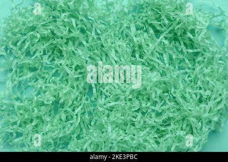 Tas de papier déchiqueté sur fond de menthe, gros plan Banque D'Images