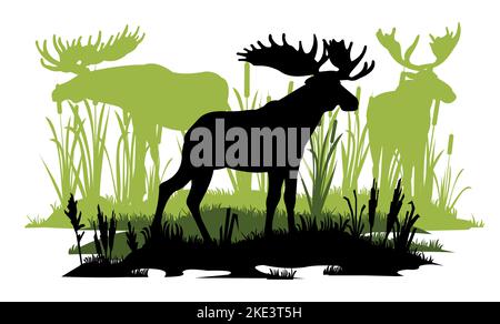 Elk avec gros bois mâle. Pâturage de troupeau. Silhouette. Les roseaux se greffent dans le marais. Animaux sauvages. Rive de rivière surcultivée. Isolé sur fond blanc Illustration de Vecteur