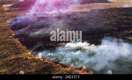 Vue aérienne sur l'herbe sèche brûlante et la fumée dans le champ. Flamme et feu ouvert. Vue de dessus Ash noir de l'herbe brûlée, Rising White Smoke et Yellow desséché Grass. Catastrophes écologiques, Environnement Banque D'Images