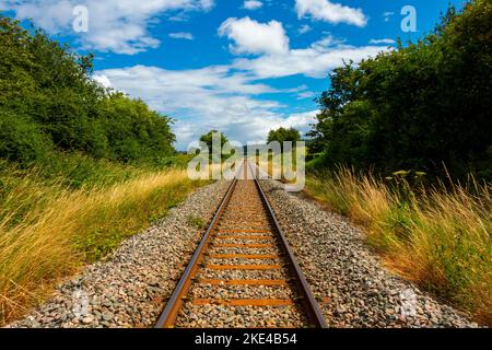 Chemin de fer à voie unique près de Danby sur la ligne de la vallée d'Esk qui relie Middlesbrough et Whitby dans le parc national de North York Moors, Angleterre Banque D'Images