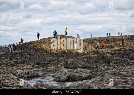 Touristes grimpant sur les anciennes colonnes de basalte de la chaussée des géants site du patrimoine mondial de l'UNESCO, Causeway Coast, comté d'Antrim, Irlande du Nord Banque D'Images