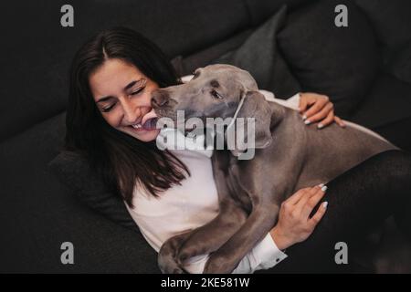Femme et Weimaraner Banque D'Images