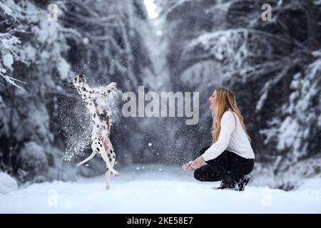 Femme et Dalmatie Banque D'Images